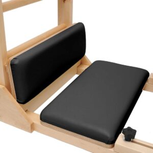 sinya ladder barrel pro black1