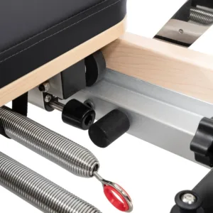 sinya portable reformer for home black