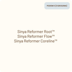 sinya product reformer 4a