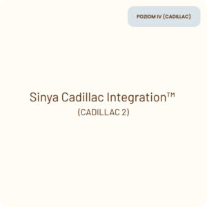 sinya product CADILLAC 1a 1
