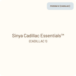 sinya product CADILLAC 1a