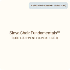 sinya product SIDE EQUIPMENT FOUNDATIONS 1