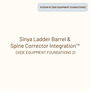 sinya product SIDE EQUIPMENT FOUNDATIONS 2