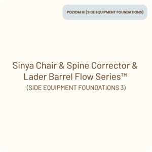 sinya product SIDE EQUIPMENT FOUNDATIONS 3