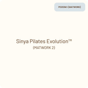 sinya product  MATOWORK 2a